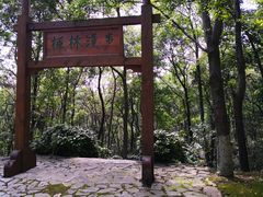 -金陵矩阵(聚宝山公园店)