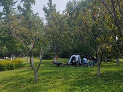 -永定河休闲森林公园