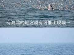 -涠洲岛南湾海洋运动公园