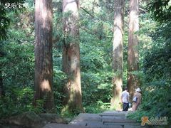 -东天目山风景区