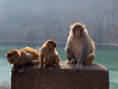 -白帝城·瞿塘峡景区