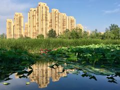 -前关湿地公园