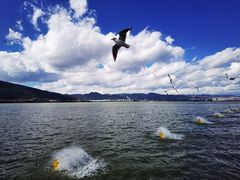 -海埂大坝