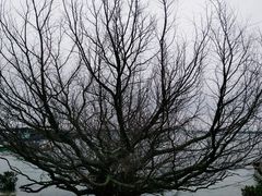 -霞山观海长廊