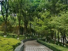 -重庆市江北嘴中央商务区中央公园