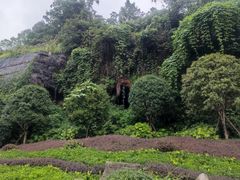 -鹿院坪生态旅游景区