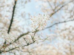 -苏堤停车场
