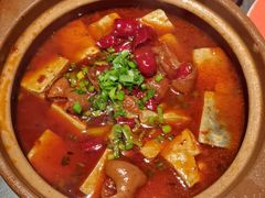 臭豆腐肥肠煲-小厨娘金榜题名(夫子庙秦淮河店)