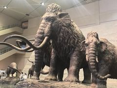 -大庆市博物馆