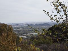 -北京西山国家森林公园