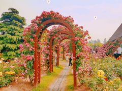 -上海滨江森林公园