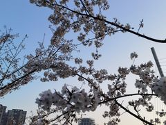 -映月湖中央公园