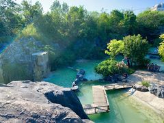 -吴淞炮台湾湿地森林公园烧烤区