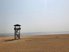 -日照海滨国家森林公园
