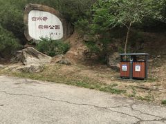 -白水寺森林公园