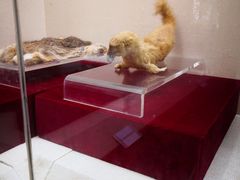 -中国湖笔博物馆(莲花庄路)