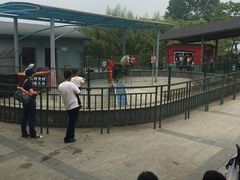 -中国扬子鳄村