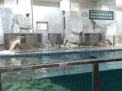 -太原动物园