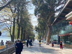 -滇池海埂公园