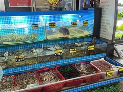 -望海潮海鲜店 特色家常菜(在海一方店)