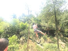 -梦幻奥陶纪景区