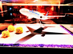 -武汉新华大饭店