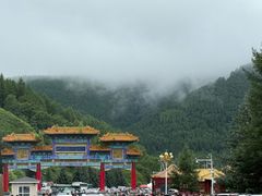 -塞罕坝国家级自然保护区