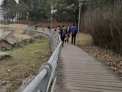 -美兰湖景区