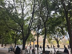 -翠湖公园