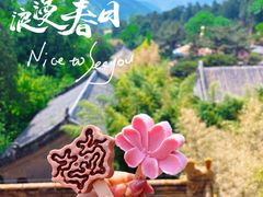 -潭柘寺景区