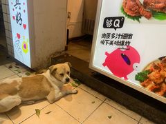 -傅强排骨(成都总店)