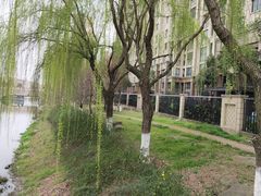 -荣阳楼(山塘街店)