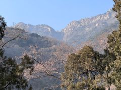 -泰山风景名胜区