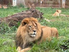 -昆明动物园