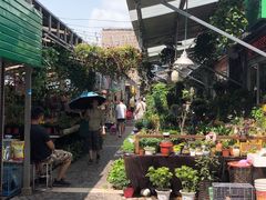 -曲阳花鸟市场(曲阳路店)