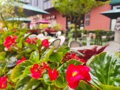 -西安电影制片厂