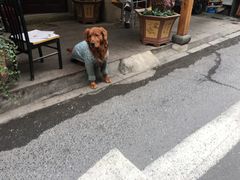 -杭州西湖风景名胜区-满觉陇四眼井