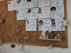 -汪说·狗咖·拼豆·宠物周边DIY(旺城大厦店)