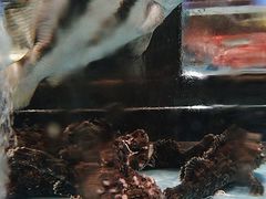 -阿伟海鲜楼·福建菜(延寿店)