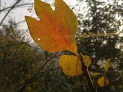 -会稽山峡洞漂流-上青古道