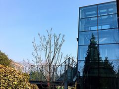 -北京九华山庄会展酒店
