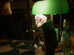 -大水的店(昙华林店)