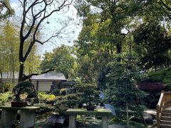 -南山植物园