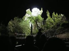 -怀托摩萤火虫洞