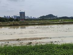 -光明小镇欢乐田园