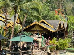 -西双版纳原始森林公园