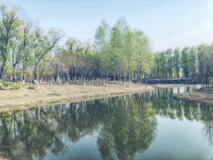 -东郊湿地公园