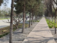 -汉长安城未央宫国家考古遗址公园