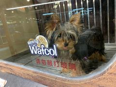 -宠物世家(仲盛世界商城店)