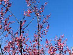 -天鹅湖体育公园